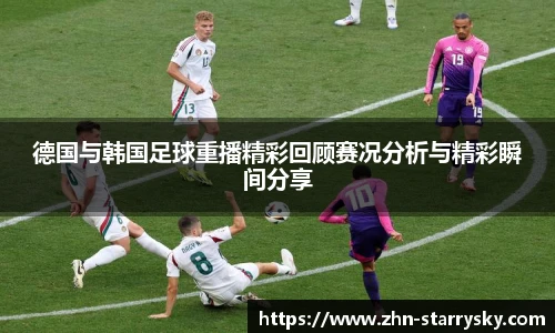 星空体育官网